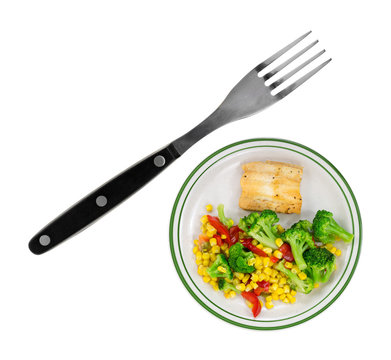 A very small plate of diet food with a large fork