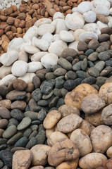 Stones in the garden