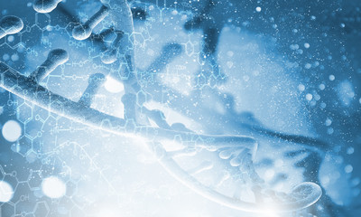 DNA molecule