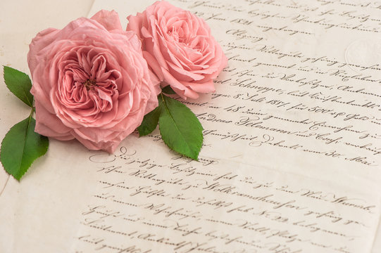 pink rose flowers over antique handwritten letter