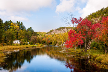 The trees and the river in autumn under the cloudy sky