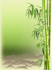 Fototapeta na wymiar green color bamboo and brown hills
