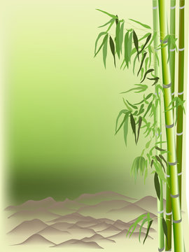 green color bamboo and brown hills