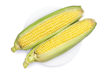 Fresh corn on plate