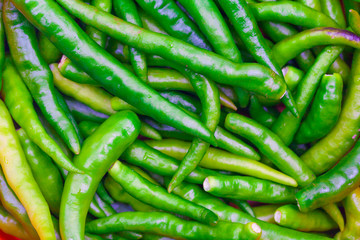 Green Chilli Peppers