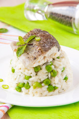 Italian risotto with rice, green peas, mint and white fish
