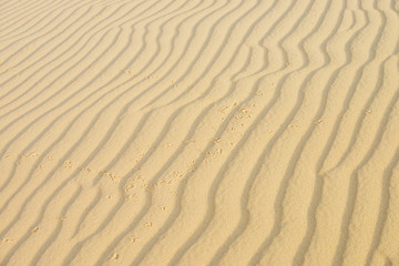 Fototapeta na wymiar Sand texture in the desert