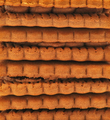 Biscuits with chocolate isolated on white background