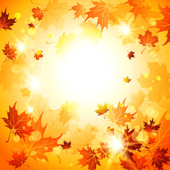 Naklejka na ściany i meble Bright autumn background