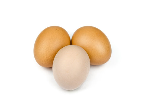 eggs on a white background