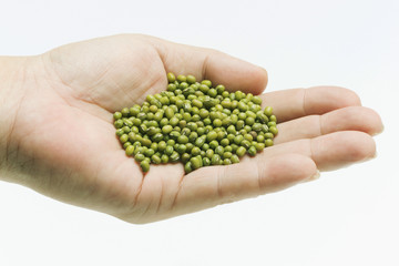 green beans in man's hand