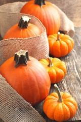 Fresh Pumpkins on wooden background. Selective focus