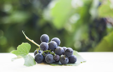 Grapes on wooden barrell