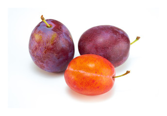 Plums