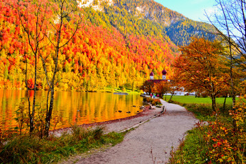 Autumn Colors