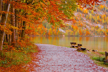 Autumn Colors