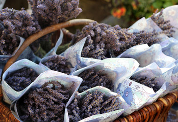 Basket with lavender in Provence, France