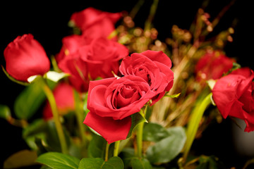 Red Rose Bouquet on Black Background