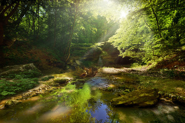 Obraz premium mountain river