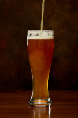 refreshing beer