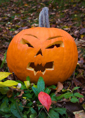 Obraz premium Halloween pumpkin