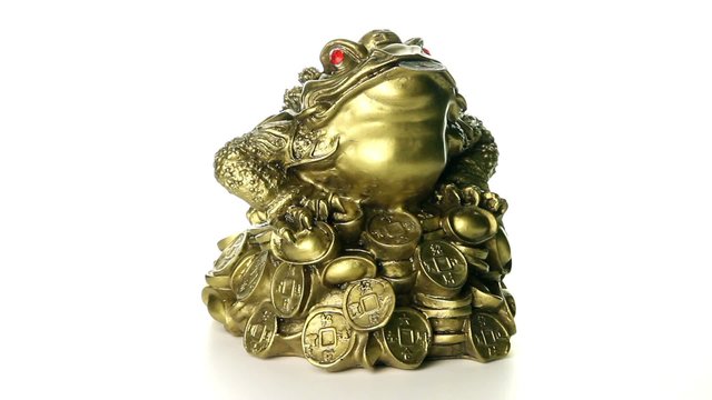 Toad feng shui on a white background loop