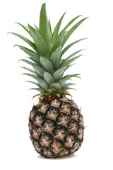 Fototapeta premium Black pineapple on white
