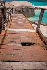 wooden bridge with rock