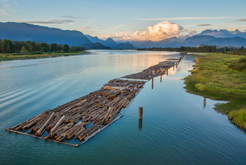 Logs Floating on River With Mountains