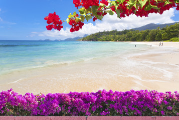 plage fleurie des Seychelles