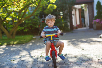 Little toddler boy riding on his  bicycle in summer.