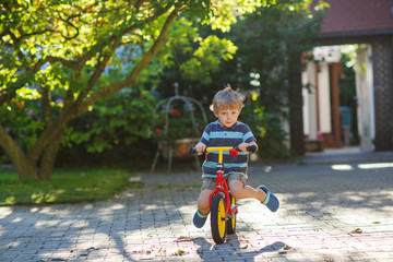 Little toddler boy riding on his  bicycle in summer.