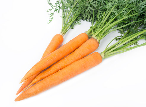 Carrot isolated