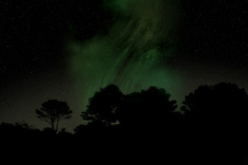 Center of The Milky Way with silhouette of mediteranean trees