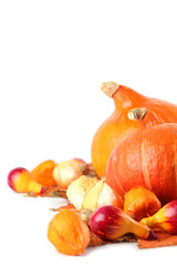 Obraz na płótnie Canvas Autumn setting with hokkaido pumpkins