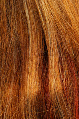 hair texture