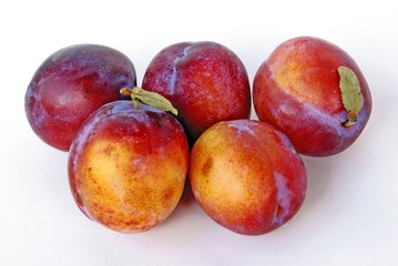 lila and gold,sweet plums