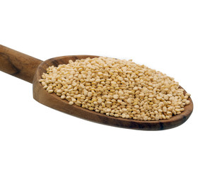 Quinoa