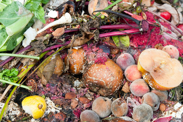 Composting pile