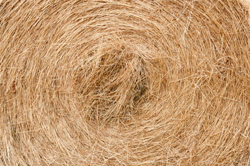 Grass bale texture background