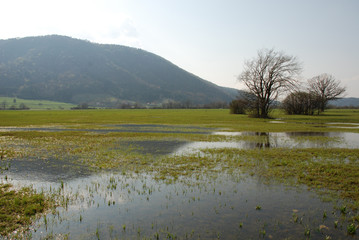 Slovenian Wetlands