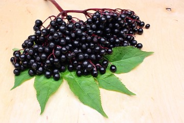 Therapeutic elderberry fruits