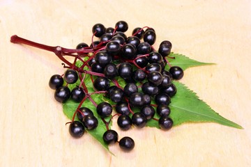 Elderberry fruit