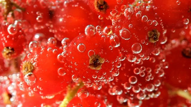 Porzeczki w bąbelkach3