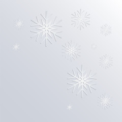 Snowflake Vectors