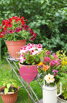 Willkommen im Garten