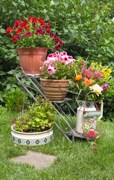 Eingang zum Garten