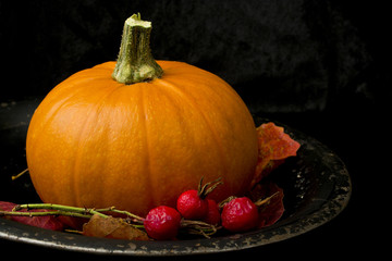 Pumpkin still life