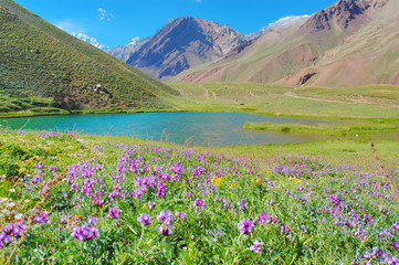 Obraz premium Horcones lake at the Aconcagua valley