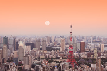 Fototapeta premium Tokyo Tower
